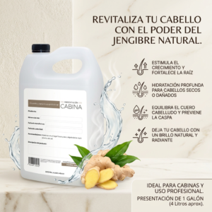 shampoo hidratante jengibre 1 galón