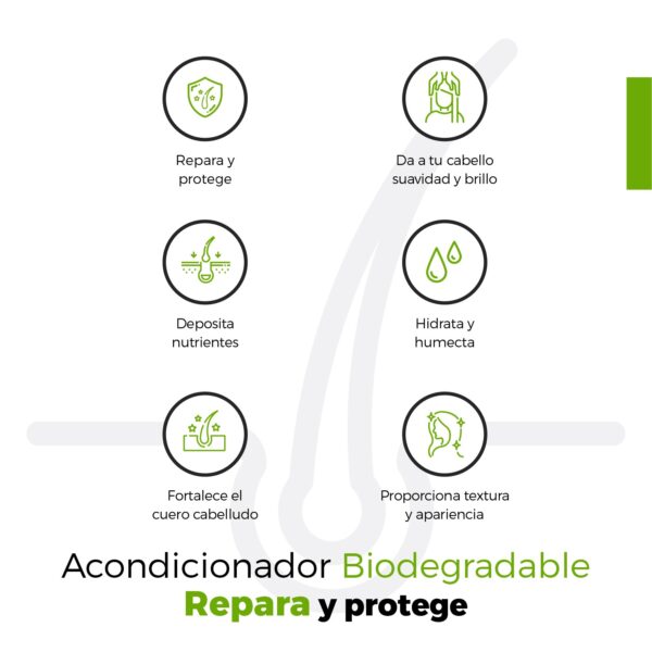 Acondicionador Base Vegano Profesional | 1 Litro | Brillo Extra, Nutrición e Hidratación | Biodegradable, Sin Parabenos, Para Todo Tipo de Cabello - Image 7