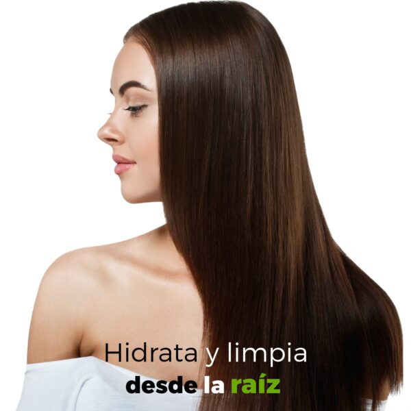 Acondicionador de Aguacate 10 Litros Beohemp | Hidratante, Nutritivo y Natural para Todo Tipo de Cabello - Image 4