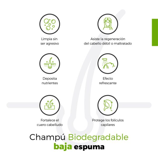 Shampoo de Verbena 1 Litro Beohemp – Refrescante, Hidratante y Suavizante para Cabello Saludable y Brillante - Image 5