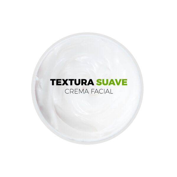 Crema de Día con Tea Tree Oil y Ácido Salicílico – Piel Grasa o Mixta – Control de Brillos e Imperfecciones 10 litros Beohemp - Image 4