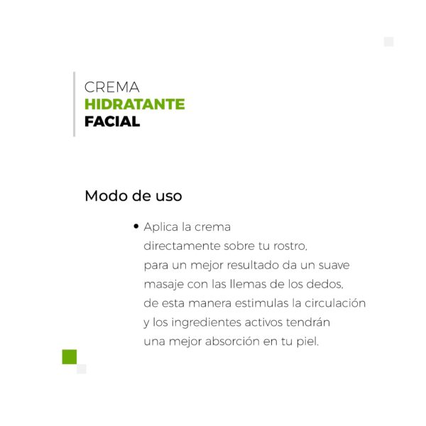 Crema de Día con Tea Tree Oil y Ácido Salicílico – Piel Grasa o Mixta – Control de Brillos e Imperfecciones 10 litros Beohemp - Image 3
